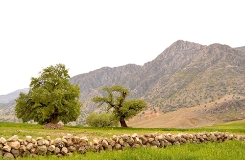 جاذبه‌های گردشگری و توریستی خوزستان + عکس