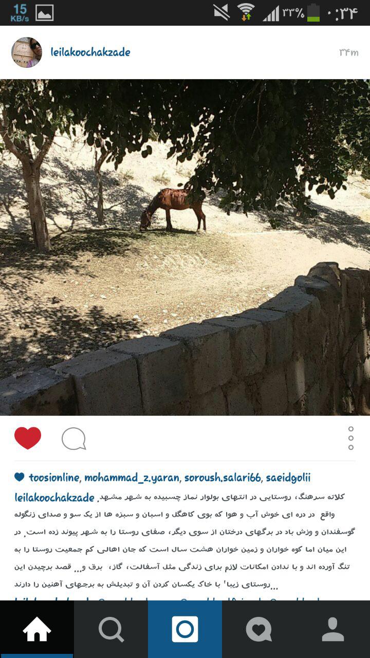 کلاته سرهنگ مشهد در آستانه نابودی و مظلومانی که زور ندارند!