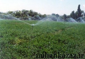 با طبیعت زیبای کزاز چه کردیم با طبیعت زیبای کزاز چه کردیم