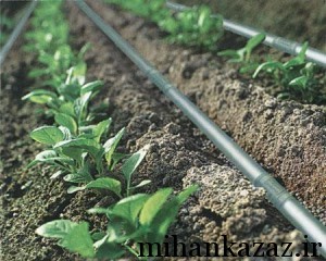 با طبیعت زیبای کزاز چه کردیم با طبیعت زیبای کزاز چه کردیم