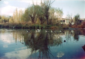 با طبیعت زیبای کزاز چه کردیم با طبیعت زیبای کزاز چه کردیم