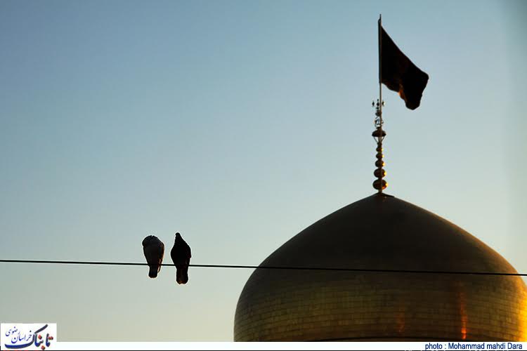 شور و شکوه روز زیارتی حضرت رضا(ع) + عکسها شور و شکوه روز زیارتی حضرت رضا(ع) + عکسها