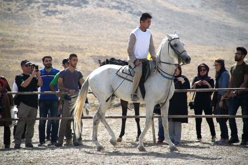 گزارش تصویری دومین همایش زیبایی اسب در اراک