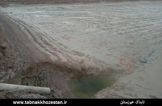 لکه سفیدی که نفس میگوی خوزستان را بُرید/ به داد سرمایه گذاران بومی برسید لکه سفیدی که نفس میگوی خوزستان را بُرید/ به داد سرمایه گذاران بومی برسید