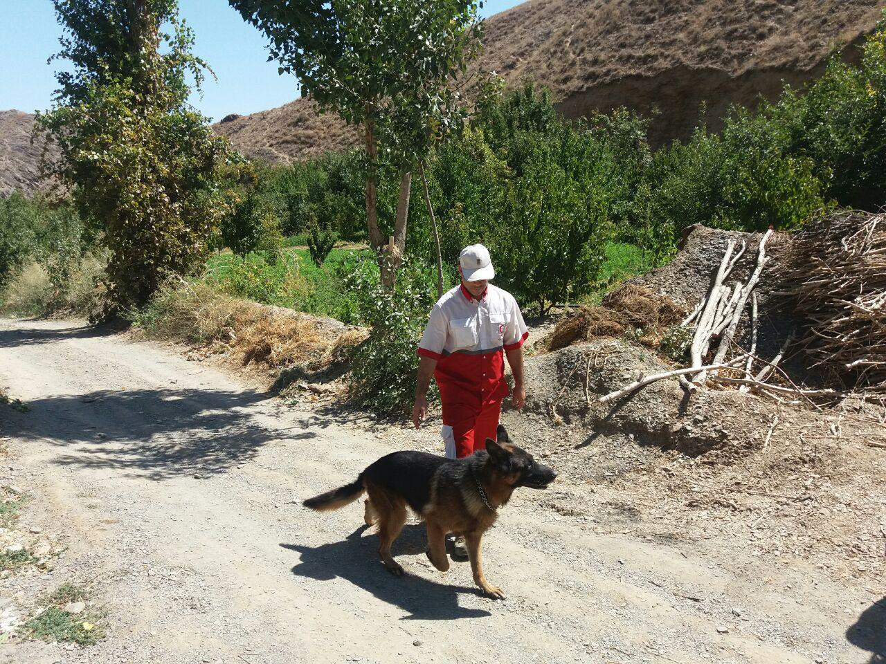 نجات کودک 2 ساله توسط سگهای زنده یاب هلال احمر نجات کودک 2 ساله توسط سگهای زنده یاب هلال احمر