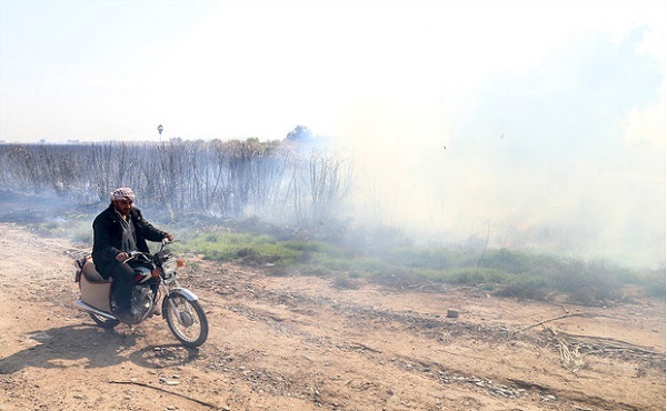 توضیحات شرکت نیشکر خوزستان در مورد سخنان نماینده اهواز توضیحات شرکت نیشکر خوزستان در مورد سخنان نماینده اهواز