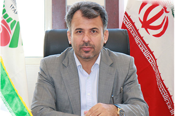 کتاب و کتابخوانی سه شنبه ها در شهرداری قزوین برگزار می شود کتاب و کتابخوانی سه شنبه ها در شهرداری قزوین برگزار می شود