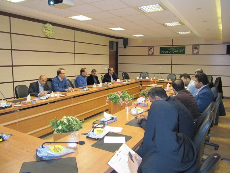 استان قزوین بهعنوان پایلوت طرح ملی اصلاح نژاد گروهی گوسفند انتخاب شد استان قزوین بهعنوان پایلوت طرح ملی اصلاح نژاد گروهی گوسفند انتخاب شد