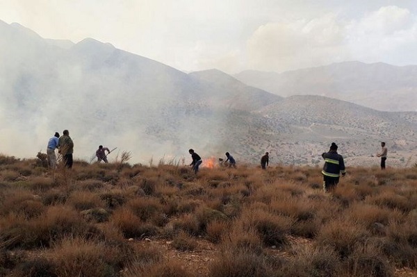 اطفای حریق جنگل ها تنها مختص منابع طبیعی نیست اطفای حریق جنگل ها تنها مختص منابع طبیعی نیست