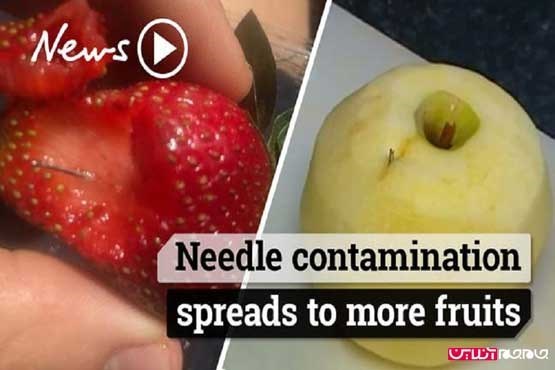 عامل میوه های سوزن دار دستگیر شد +عکس عامل میوه های سوزن دار دستگیر شد +عکس