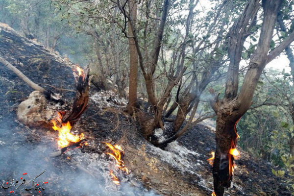 آتش به جان باغات انار قزوین افتاد آتش به جان باغات انار قزوین افتاد