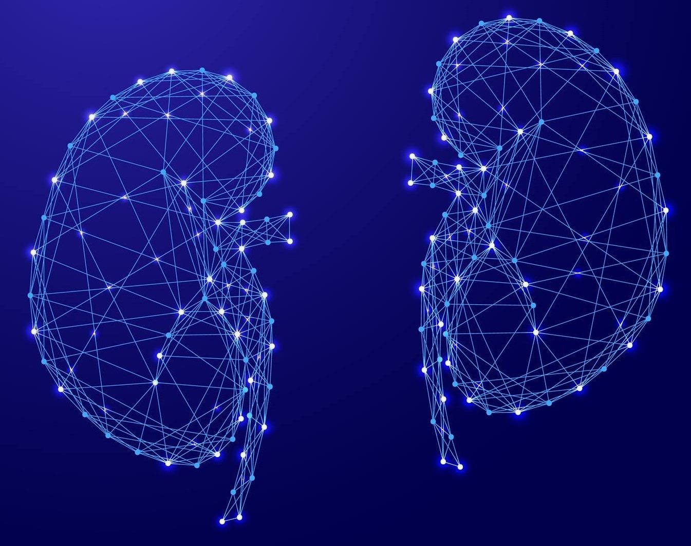 چگونه کلیه سالمی داشته باشیم؟ چگونه کلیه سالمی داشته باشیم؟