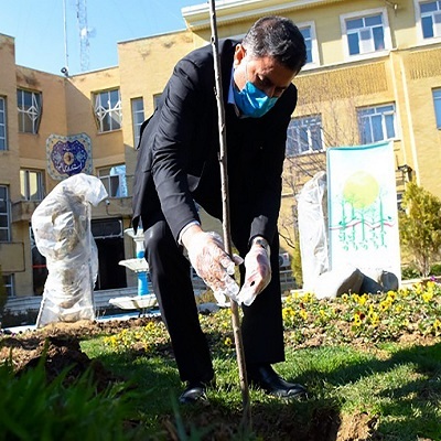 امسال ۵۰۰ هزار نهال در البرز کاشته می شود