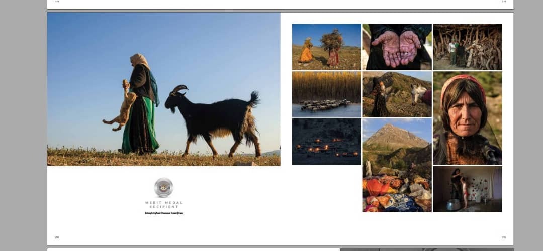 مدال افتخار فستیوال بین المللی عکس هیپا برای عکاس کهگیلویه و بویراحمدی