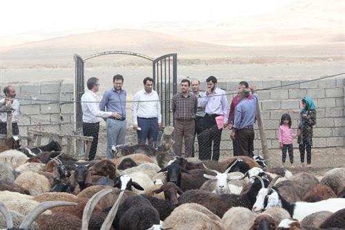 کمیته امداد قزوین به همه تعهدات خود در ایجاد فرصتهای شغلی عمل کرده است کمیته امداد قزوین به همه تعهدات خود در ایجاد فرصتهای شغلی عمل کرده است