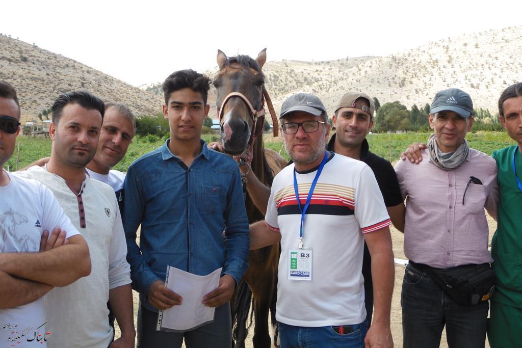 پایان مسابقات سوارکاری ماده استقامت جنوب کشور در یاسوج + تصاویر