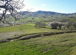 سنقر دومین شهرستان تاریخی در کرمانشاه