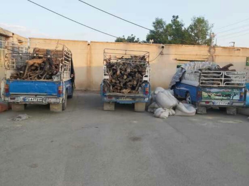 توقیف سه خودرو حامل قاچاق چوب در دیشموک + تصویر