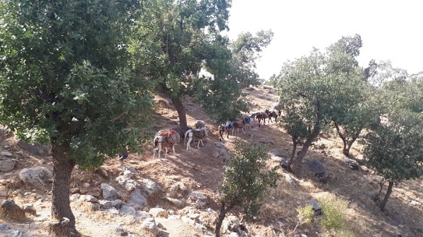 شادی هدیه کانون به کودکان مناطق محروم روستایی بخش سوسن شادی هدیه کانون به کودکان مناطق محروم روستایی بخش سوسن