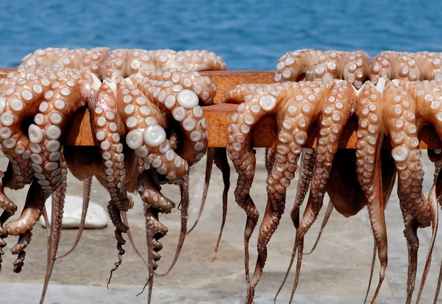 فروش آبزیان حرام گوشت در سطح شهر ممنوع است فروش آبزیان حرام گوشت در سطح شهر ممنوع است