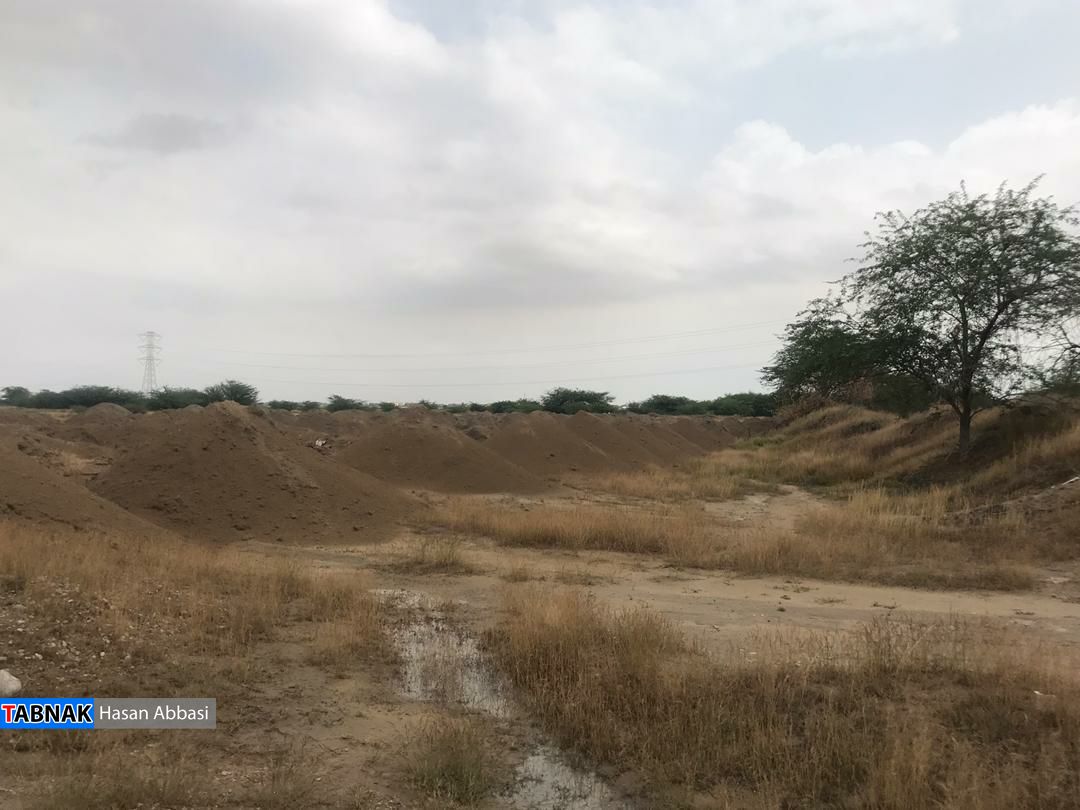 از وداع غریبانه تا تدفین تبعیض آمیز از وداع غریبانه تا تدفین تبعیض آمیز