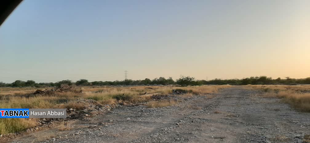 از وداع غریبانه تا تدفین تبعیض آمیز از وداع غریبانه تا تدفین تبعیض آمیز