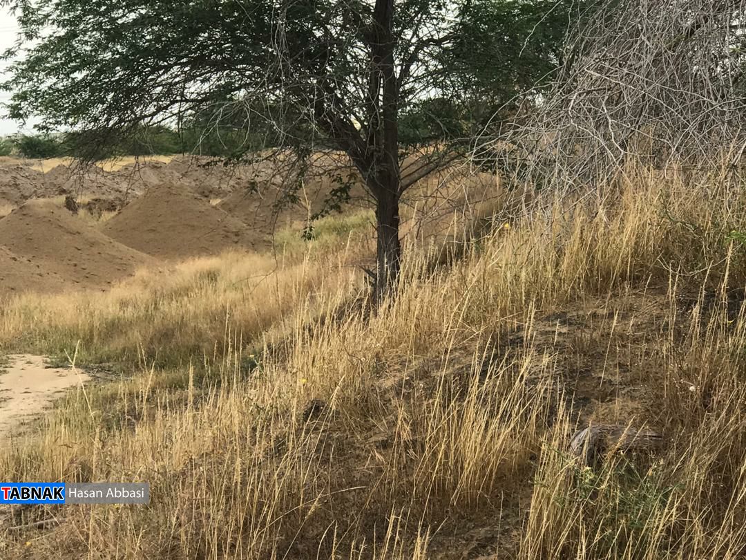 از وداع غریبانه تا تدفین تبعیض آمیز از وداع غریبانه تا تدفین تبعیض آمیز