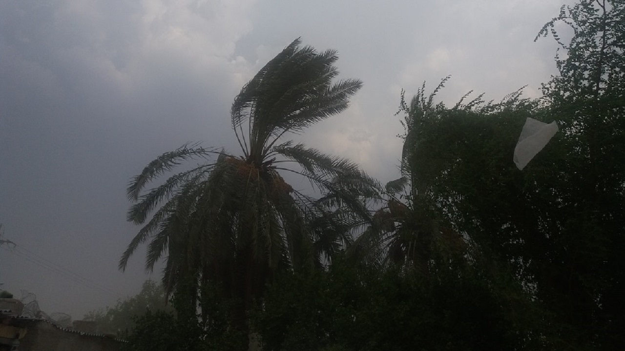 خلیج فارس تا پایان هفته مواج است خلیج فارس تا پایان هفته مواج است