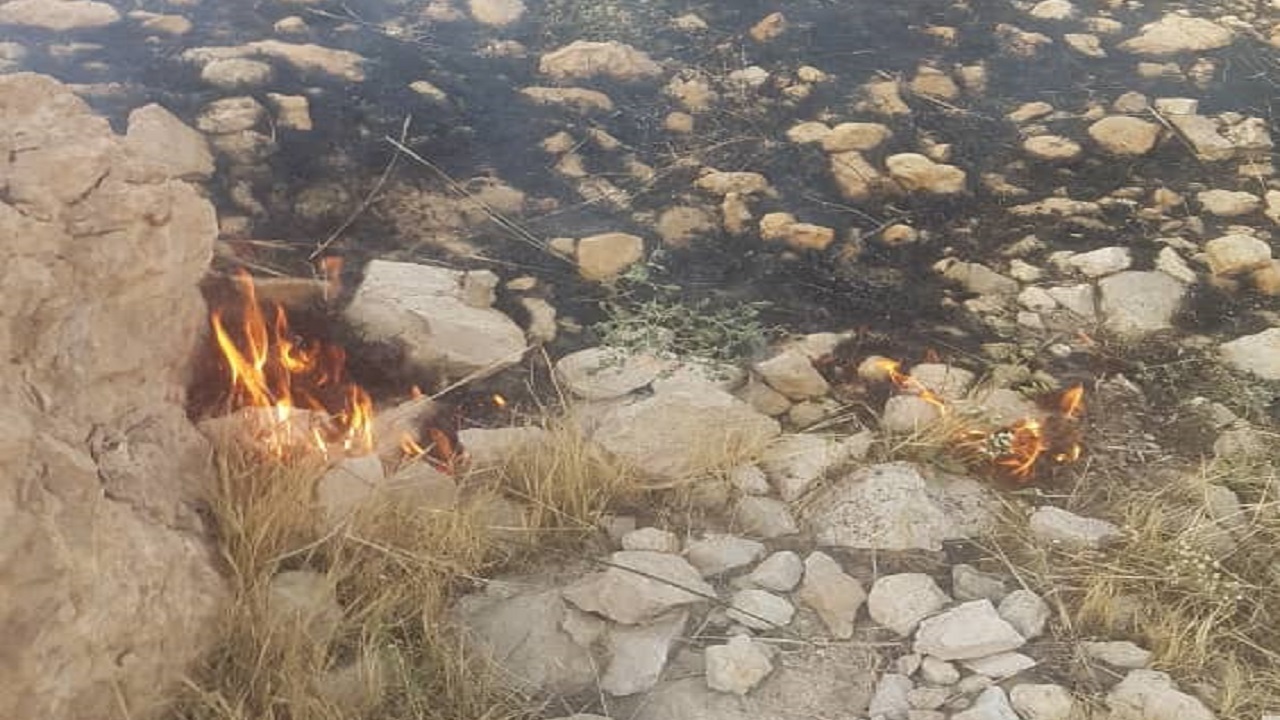 ۵۲ هکتار از مراتع دشتی در آتش سوخت