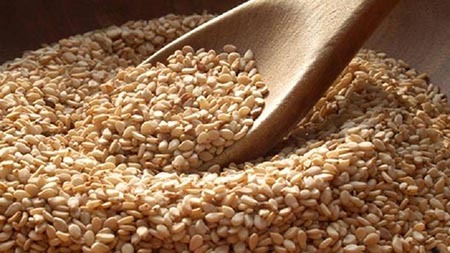 تولید ۸۰۰ تن کنجد در گلستان تولید ۸۰۰ تن کنجد در گلستان