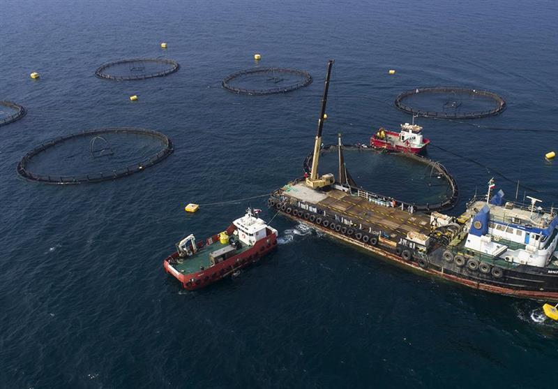 سرمایهگذاری ۷۰۰۰ میلیارد تومانی برای اجرای ۳۰ پروژه اقتصاد مقاومتی در بوشهر سرمایهگذاری ۷۰۰۰ میلیارد تومانی برای اجرای ۳۰ پروژه اقتصاد مقاومتی در بوشهر