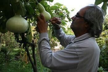 صنایع دستی بخش مهمی از گردش مالی صنعت گردشگری را به دوش می کشد