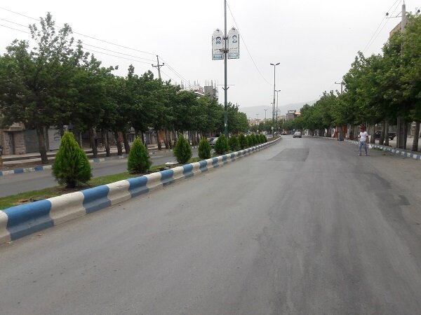 تیشه بر ریشه درختان کهن شهری