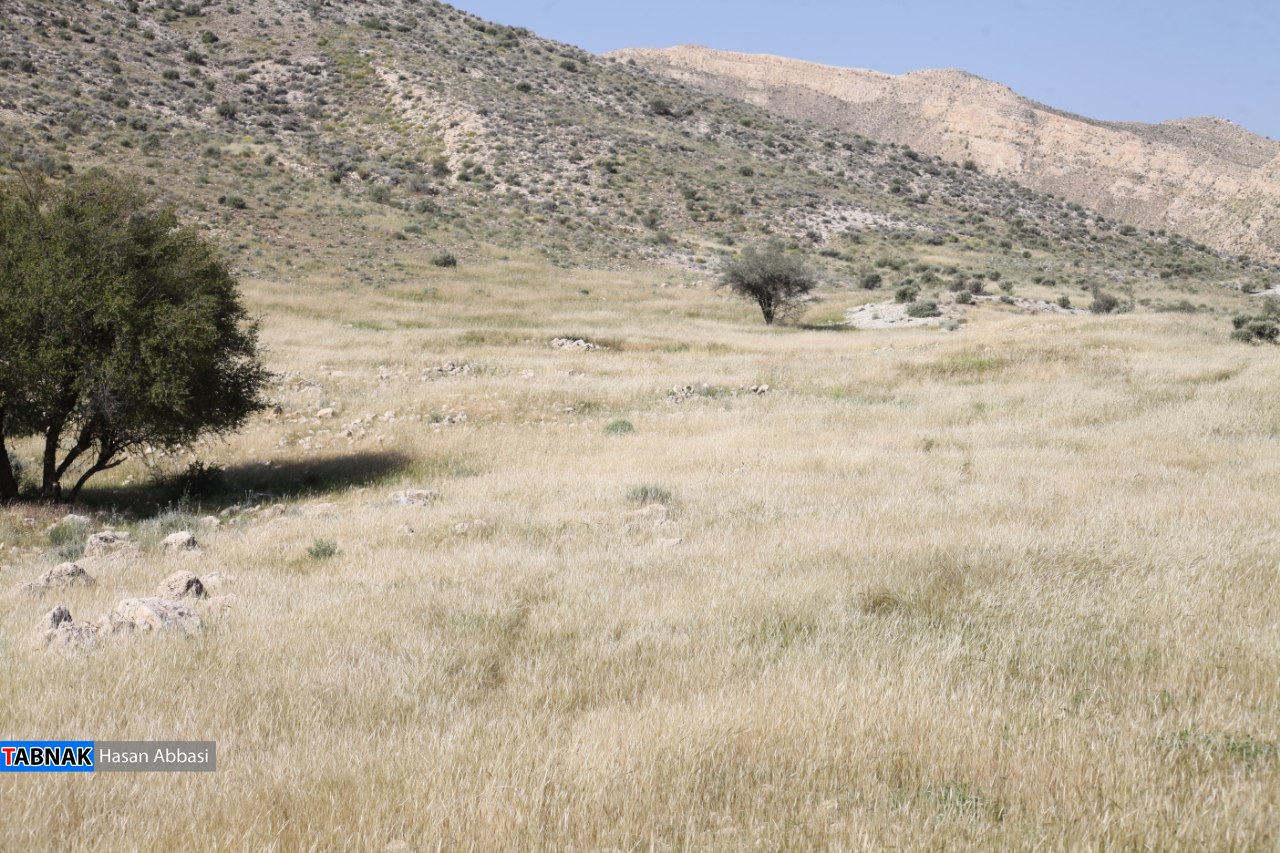 تنگ خلیل تنگ خلیل