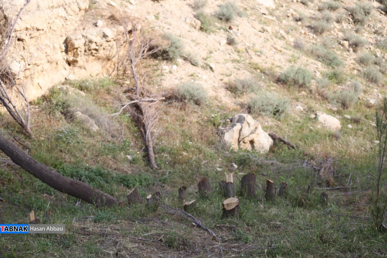 دره رهنو دره رهنو