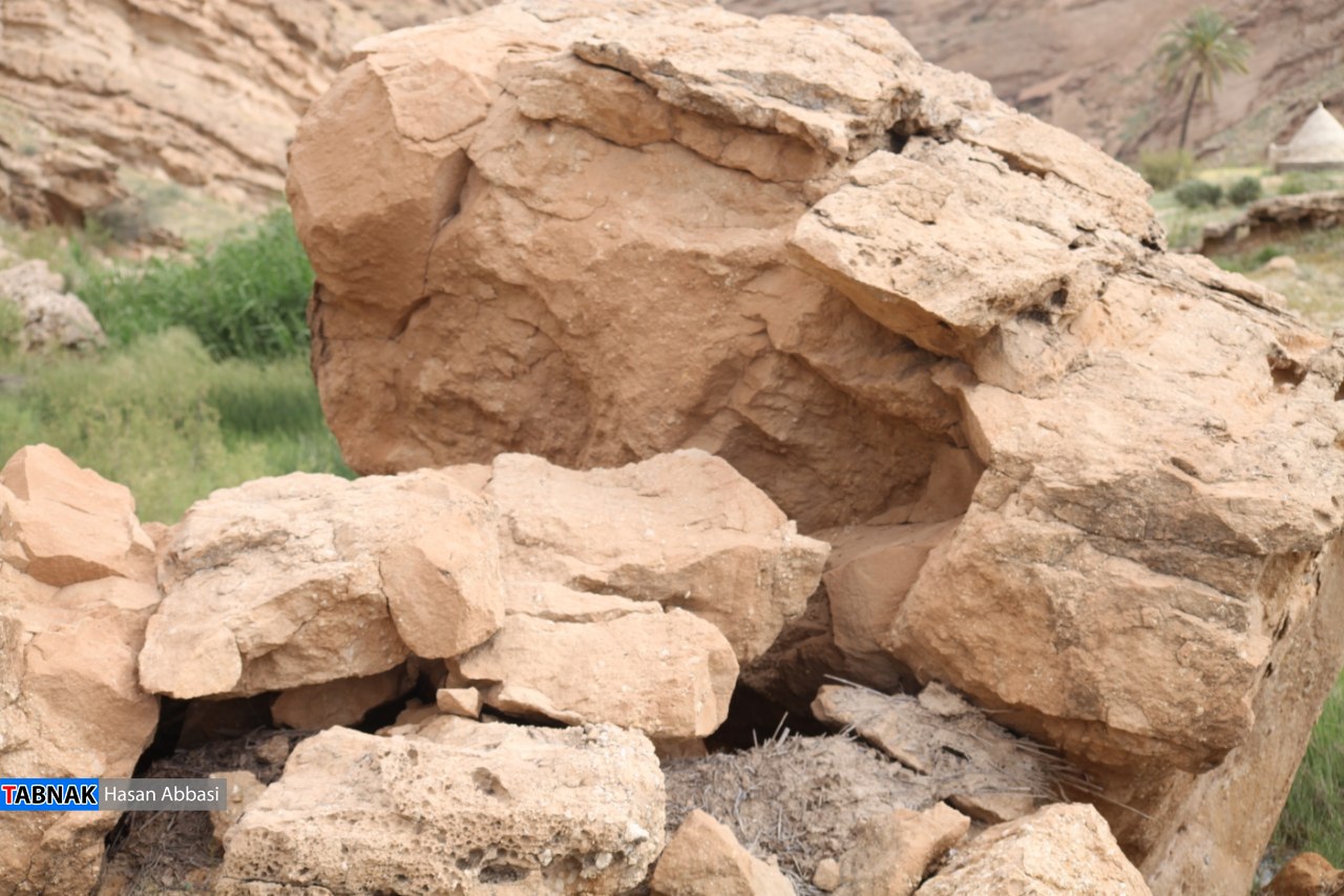 تاگزو تاگزو