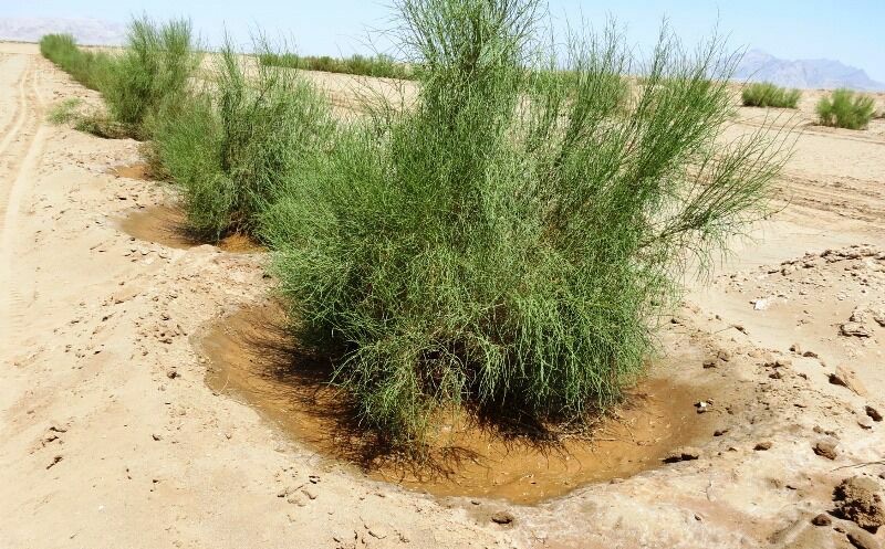 اجراي طرح آبخيزداري در شهرستان گرمسار اجراي طرح آبخيزداري در شهرستان گرمسار