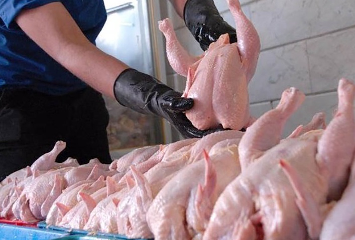 حکایت بازار مرغ استان ! / از دروغ سیزده بدری پیش از موعد تا ترجیح تفریح بر حل مشکل مردم !