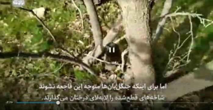 واکنش دادستان عمومی و انقلاب مرکز استان به انتشار یک کلیپ / پرونده یک متخلف به دادگاه کیفری ارسال شد + تصاویر واکنش دادستان عمومی و انقلاب مرکز استان به انتشار یک کلیپ / پرونده یک متخلف به دادگاه کیفری ارسال شد + تصاویر