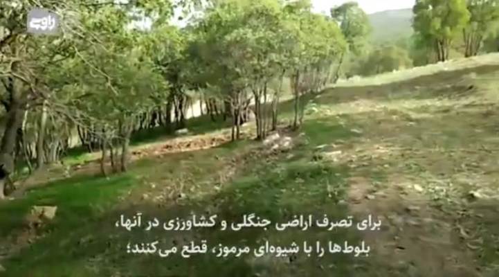 واکنش دادستان عمومی و انقلاب مرکز استان به انتشار یک کلیپ / پرونده یک متخلف به دادگاه کیفری ارسال شد + تصاویر واکنش دادستان عمومی و انقلاب مرکز استان به انتشار یک کلیپ / پرونده یک متخلف به دادگاه کیفری ارسال شد + تصاویر