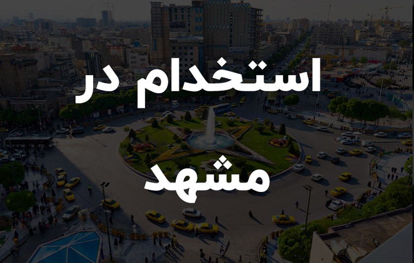 چگونه برای این فرصتهای شغلی اقدام کنیم؟