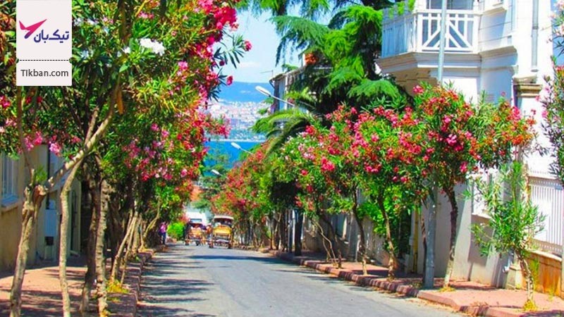 مقاصد نوروزی ۱۴۰۱ برای سفرهای انفرادی و خانوادگی مقاصد نوروزی ۱۴۰۱ برای سفرهای انفرادی و خانوادگی