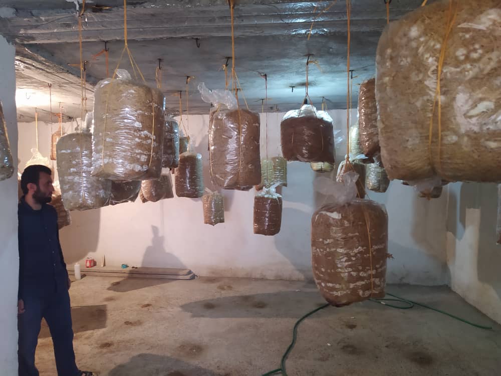 گزارش جامع نماینده بنیاد علوی از طرح محرومیت زدایی لنده+تصاویر گزارش جامع نماینده بنیاد علوی از طرح محرومیت زدایی لنده+تصاویر