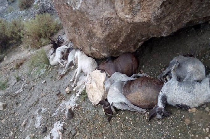 ۳۰ میلیارد ریال خسارت ارمغان و تگرگ در کوهشاه/راه ارتباطی 20 روستا قطع شده است