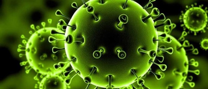 فوت ۹ هم استانی دیگر در اثر کرونا در شبانه روز گذشته/ آمار قربانیان استان از مرز ۲۰۰۰ نفر گذشت