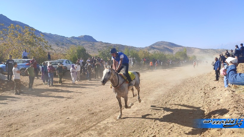 سوارکاران برتر جنوب کشور معرفی شدند + فیلم و تصاویر