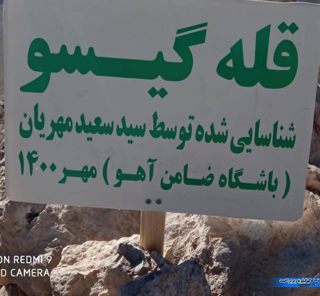 طاووس قله های دنا پیدا شد