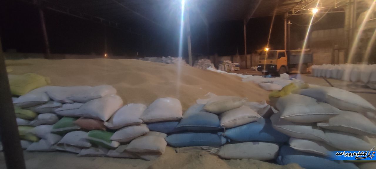 خسارت بارشها به یک سیلوی گندم در چرام / نیکروز: خود مراقبتی حلقه مفقوده در بحرانها + تصاویر