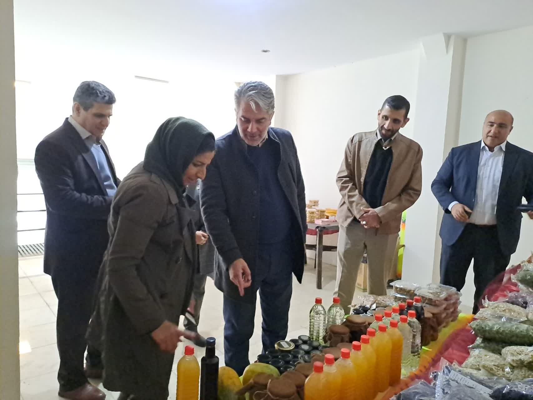 افتتاح فروشگاه عرضه محصولات هنری ،صنایع دستی و تولیدات محلی در فشم 