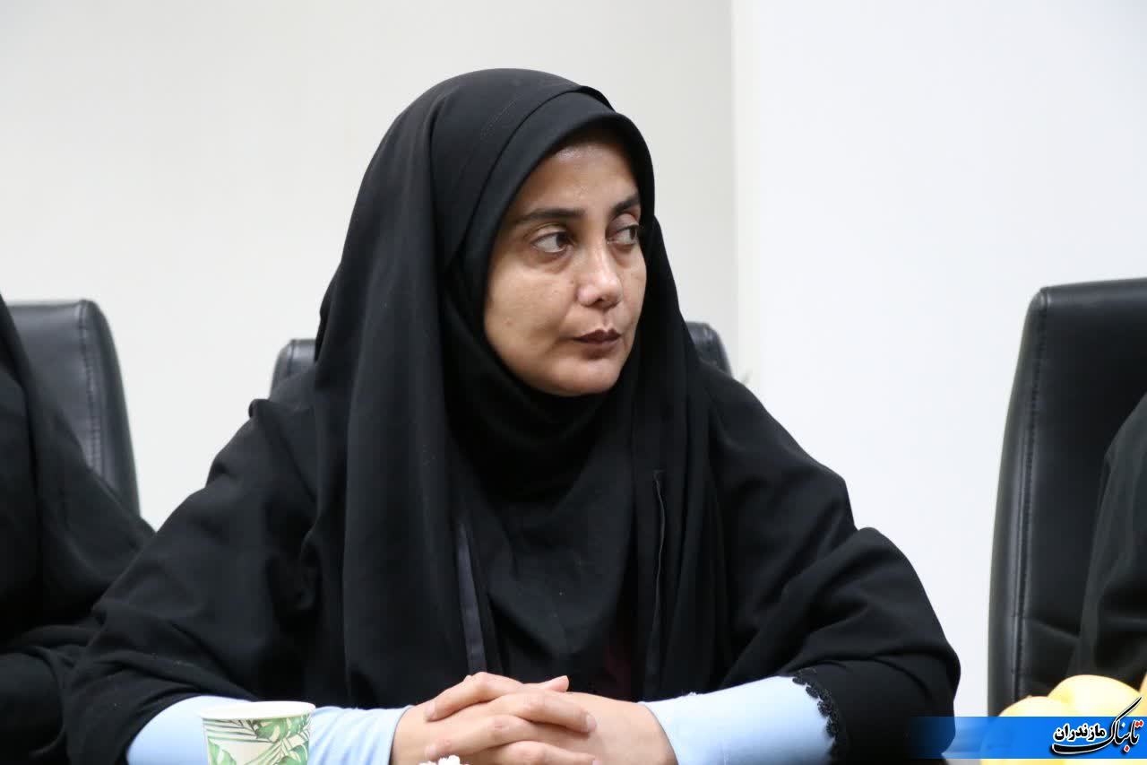 تشریح ۵۲ پروژه‌ی قابل افتتاح و کلنگ‌زنی در دهه فجر از سوی فرماندار نکا